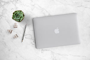 Succulent with Laptop Scene 26-0020