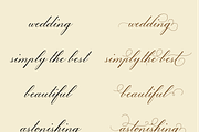 Sofia Script, a Script Font by Creative Foundry (Thumbnail 2 of 9)