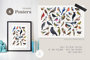 Forest Birds Watercolor Set, an Animal Illustration by AnitaPol (Thumbnail 16 of 26)