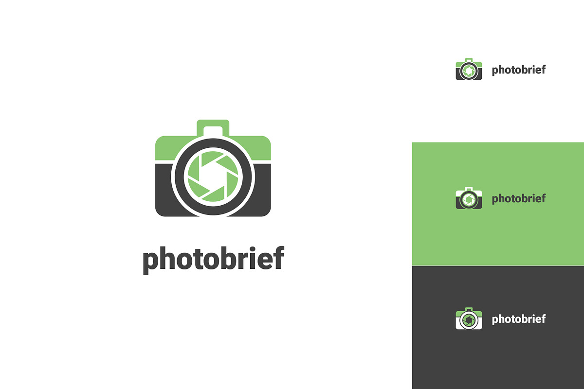Photobrief Logo Template, a Branding & Logo Template by The Tint Pro (Photo 2 of 3)
