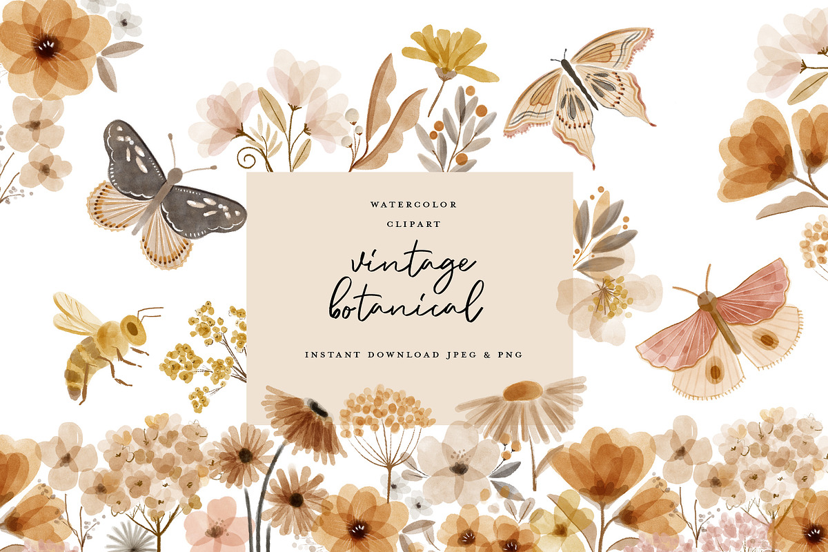 Watercolor Vintage Botanical Clipart, an Illustration by beatriceviyiwi (Photo 1 of 6)