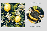 Lemons and Magnolia vector set, an Object Illustration by FleurArt (Thumbnail 6 of 11)