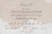Barracuda Script, a Script Font by joelmaker (Thumbnail 12 of 12)