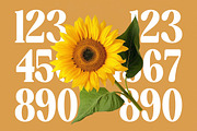 Ordinal Modern Display Serif Font, a Serif Font by timelesstype.co (Thumbnail 8 of 20)