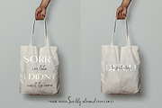 Scribly Almond Font Duo + Extras, a Script Font by Chimerique (Thumbnail 7 of 13)