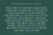 AQREAMIG — Luxury Ligature Serif, a Serif Font by Enxyclo Studio (Thumbnail 17 of 25)