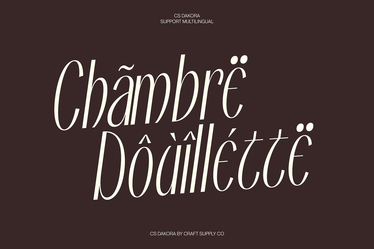 CS Dakora – Elegant Sans Serif, a Sans Serif Font by Craft Supply Co. (Photo 7 of 8)