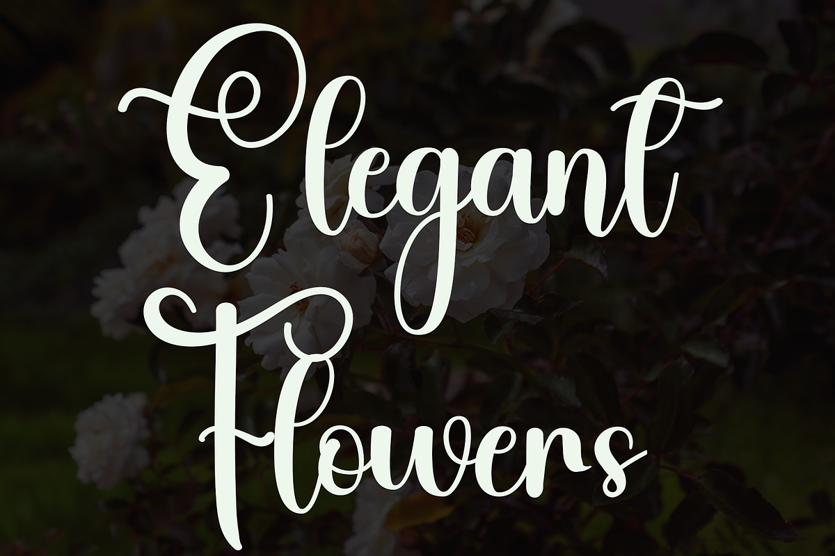 Elegant, a Handwritten Font by InermediaSTUDIO (Photo 7 of 8)