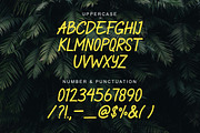 Borderland, a Script Font by Zelda Graphic (Thumbnail 2 of 5)