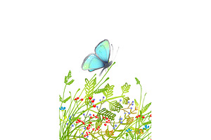 Delicate Blue Butterfly Sitting On G