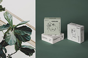 Botanical Line Art Logo, an Illustration by Backyard Rose (Thumbnail 2 of 12)