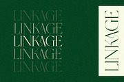 Grass - Serif Font, a Serif Font by Alpaprana (Thumbnail 3 of 10)