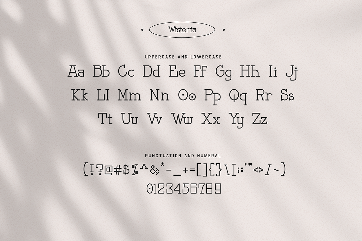 Wistoria - A Elegant Serif Typeface, a Serif Font by overlaytemplates (Photo 4 of 5)