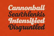 New Roshelyn Script - Font Family, a Script Font by Get Studio (Thumbnail 5 of 23)