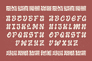 Akyra 35 – Groovy Font, a Script Font by Nocturnal Workspace (Thumbnail 6 of 6)