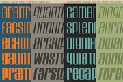 Initiate Collection, a Sans Serif Font by Stiggy & Sands (Thumbnail 4 of 9)