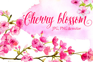 Cherry blossom watercolor art