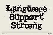 Typewriter TM – Distressed Typer, a Serif Font by Type Mania (Thumbnail 9 of 11)