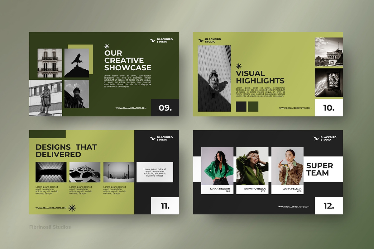 BlackBird - Business Pitch Deck preview 6