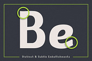 Cevilla Grotesk - Bold & Quirky, a Sans Serif Font by Parker Creative (Thumbnail 6 of 9)