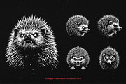 10 Bundle Dark Art Hedgehog thorns, an Illustration by Morspective (Thumbnail 5 of 7)