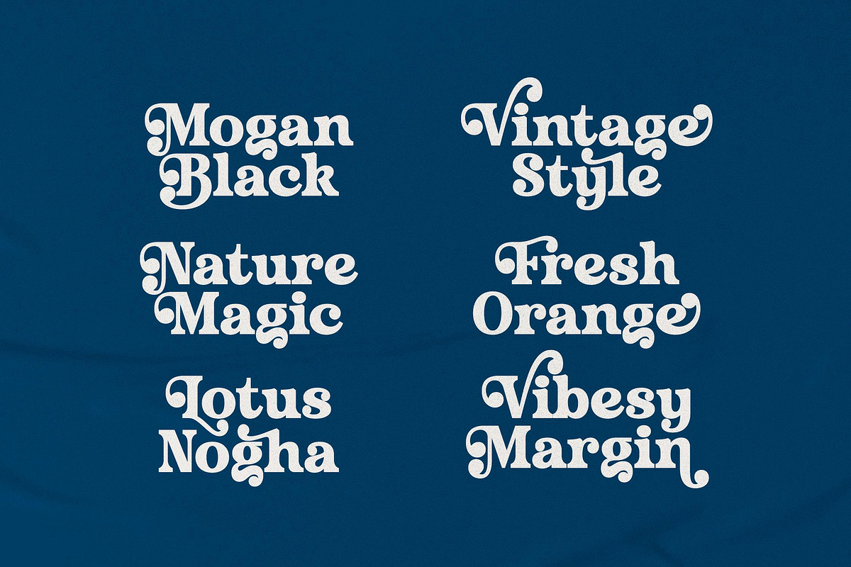 Husty Birds Modern Retro Serif, a Serif Font by timelesstype.co (Photo 17 of 20)