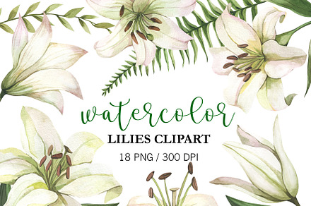 Watercolor White Lilies Clipart, PNG, a Decorative Illustration by PatternPalette