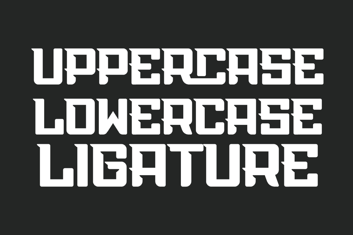 Speedy Geforce, a Serif Font by QR Design Studio (Photo 3 of 6)