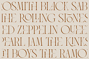 Asther - Fashion Font, a Serif Font by Ivan Rosenberg (Thumbnail 10 of 19)