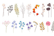 Decorative dried flowers. Cartoon, a Texture Illustration by YummyBuum (Thumbnail 3 of 3)