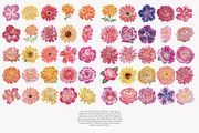 watercolor floral clipart bundle, a Decorative Illustration by Patishop Art (Thumbnail 7 of 9)