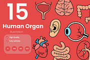 Human Organ Illustration Pack, an Illustration by baii09 (Thumbnail 1 of 2)