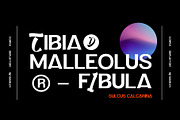 Corpus Font, a Font by Damelev (Thumbnail 8 of 8)