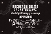 Rolling Bones Display Typeface Font, a Sans Serif Font by Storytype Studio (Thumbnail 13 of 15)