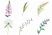 Wild Floral Clipart, Wild Floral png, an Illustration by Watercolor design (Thumbnail 4 of 12)