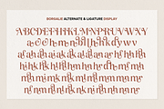 Borgalie, a Serif Font by Wildan Type (Thumbnail 9 of 10)