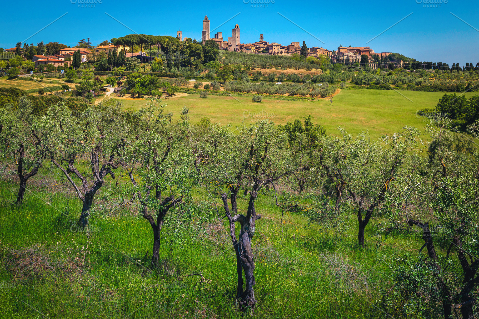 San Gimignano view from the slope, an Architecture Photo by Alpine Dreams