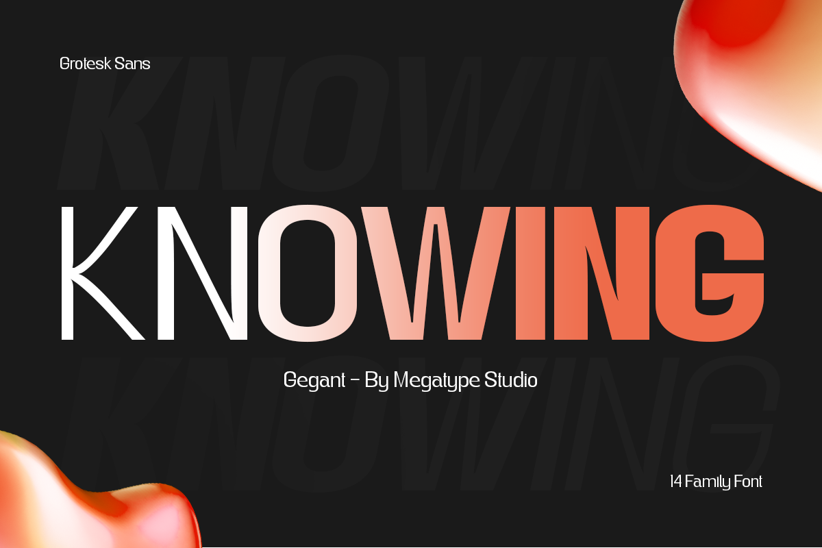 Gegant Font, a Sans Serif Font by Megatype (Photo 13 of 15)