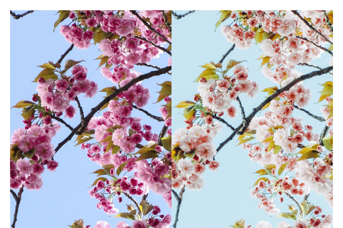 Japanese Mood Lightroom Presets, an Action Add-On by Daily Studio (Photo 4 of 10)