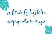 Calla Script, a Script Font by Great Lakes Lettering (Thumbnail 2 of 9)