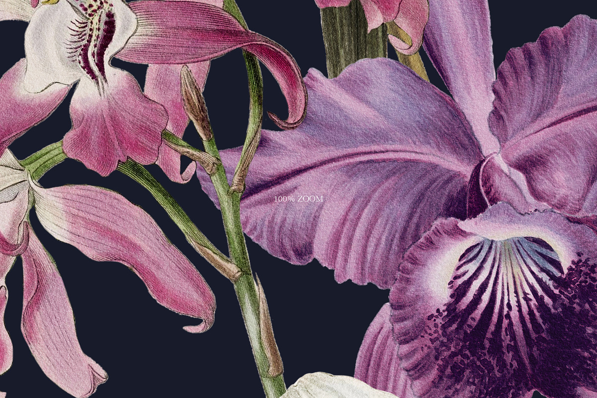 JUNO Flower Floral Seamless Pattern, a Pattern Graphic by Veris Studio (Photo 8 of 14)