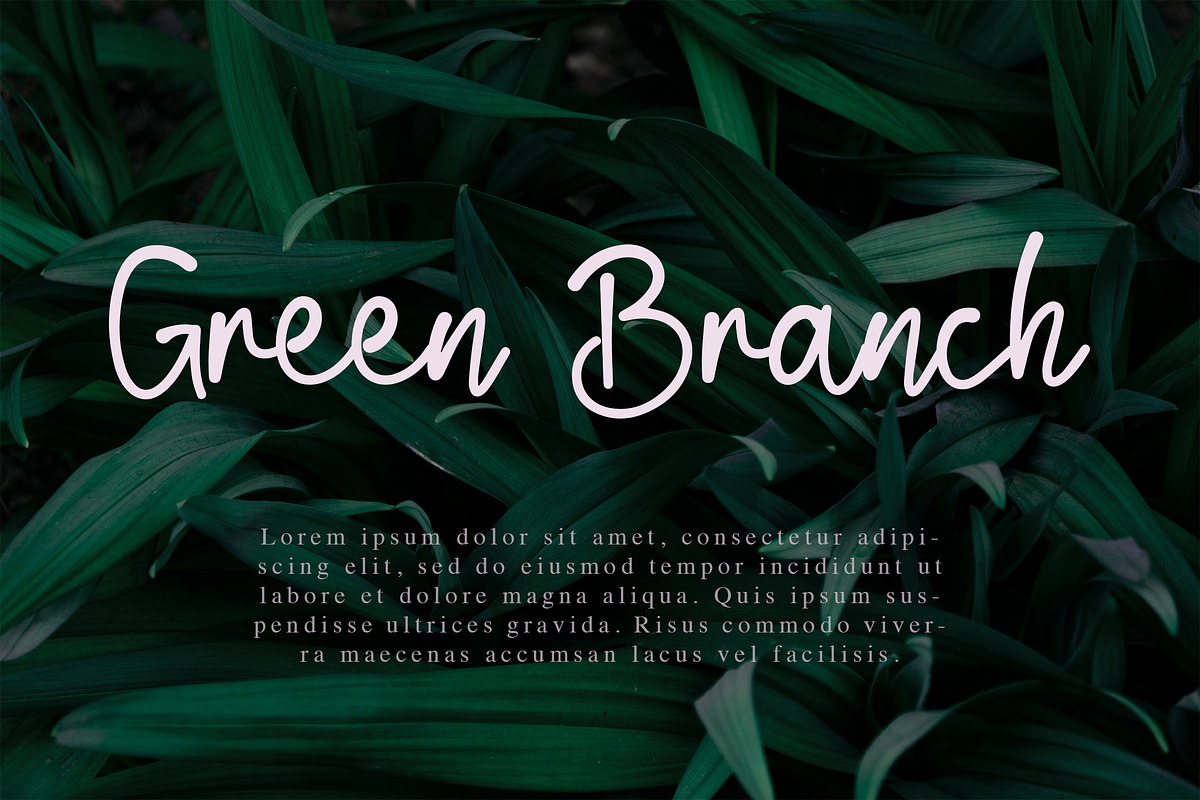 Blind Matte - Script Font, a Script Font by NTC Graphic (Photo 6 of 9)