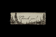 Mountain Landscape Illustrations, an Empty State Illustration by TheMountBirdStudio (Thumbnail 15 of 15)