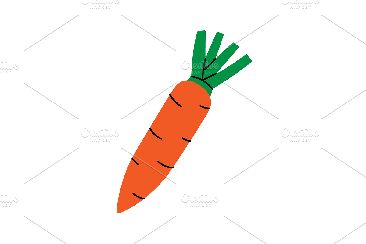 Carrot. Fresh organic vegetable, an Object Illustration by GraphiShop
