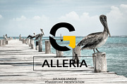 Galleria Powerpoint Presentation, a Presentation Template by SlideBester (Thumbnail 14 of 15)