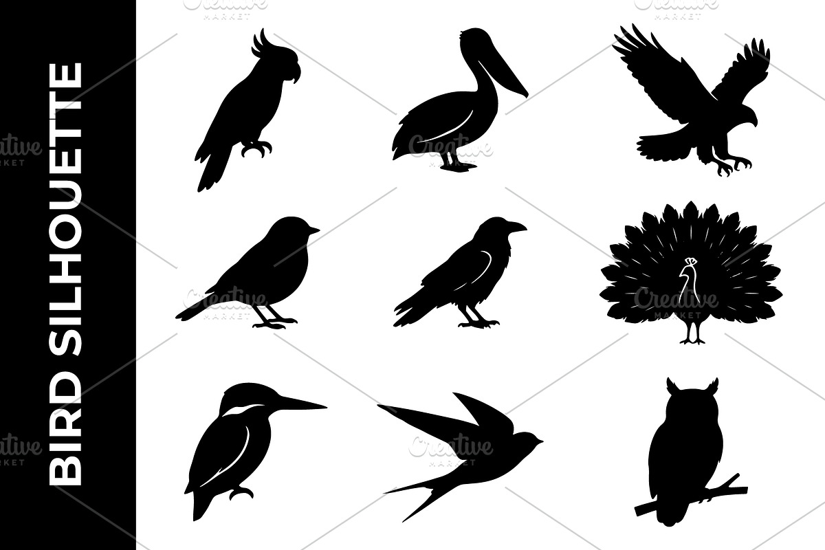 Birds Silhouette Collection, an Object Graphic by nandinigraphics (Photo 1 of 3)