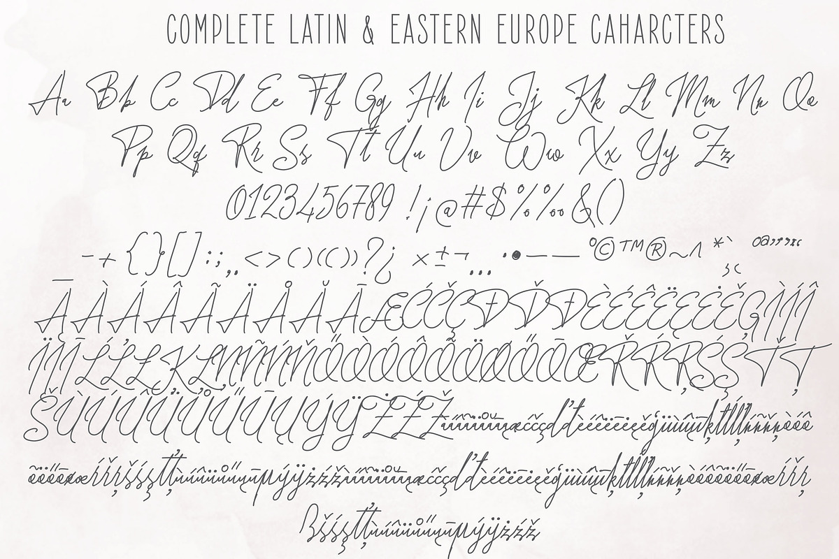 Forsythia Garden |Signature Typeface preview 8