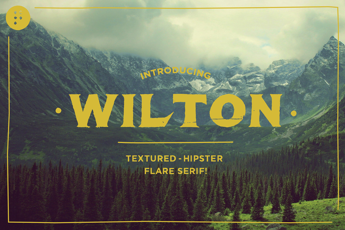 Wilton - Textured Flare Serif, a Serif Font by Ross Palumbo (Photo 1 of 3)