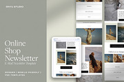 Online Shop Email Newsletter, an Email Template by ONYU Studio (Thumbnail 1 of 5)