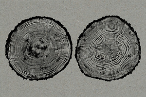 26 Large Tree Ring Textures